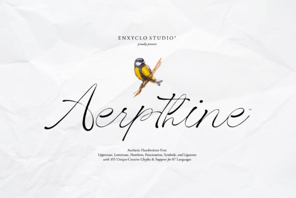 Aerpthine: Elegant Script Font for Designers