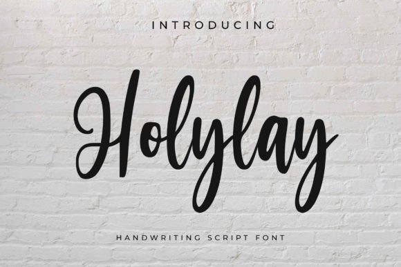 Beautiful Script Font for Web Design