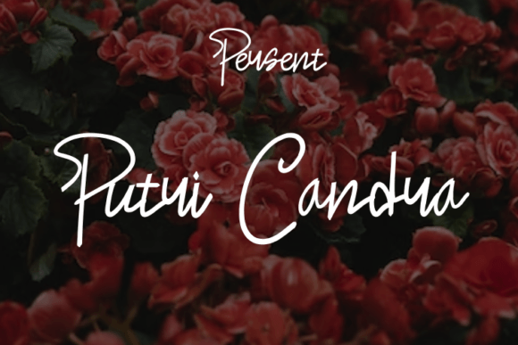 Putri Candra: A Script Typeface for Elegant Design